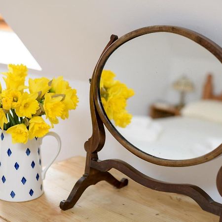Luccombe Farm Holiday Cottages Milton Abbas Exteriér fotografie