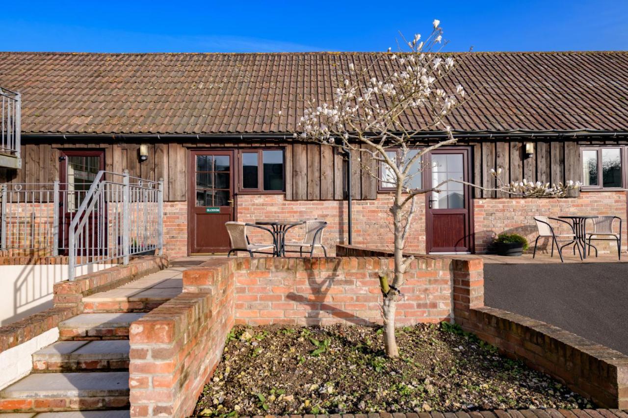 Luccombe Farm Holiday Cottages Milton Abbas Exteriér fotografie