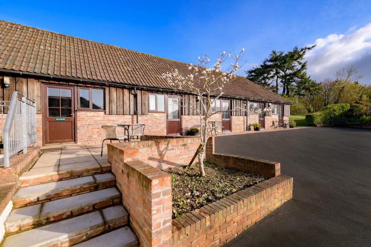 Luccombe Farm Holiday Cottages Milton Abbas Exteriér fotografie